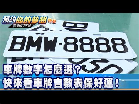 車牌兩個0|車牌號帶兩個0好不好